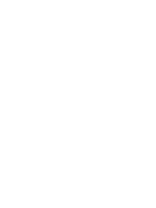 Satchell Lion of Judah mark